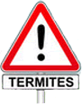 danger termites